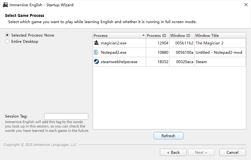 startup wizard: select game process